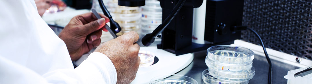 bio-medicine